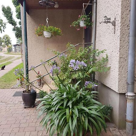 Ferienwohnung Siebmann Neuruppin Eksteriør bilde