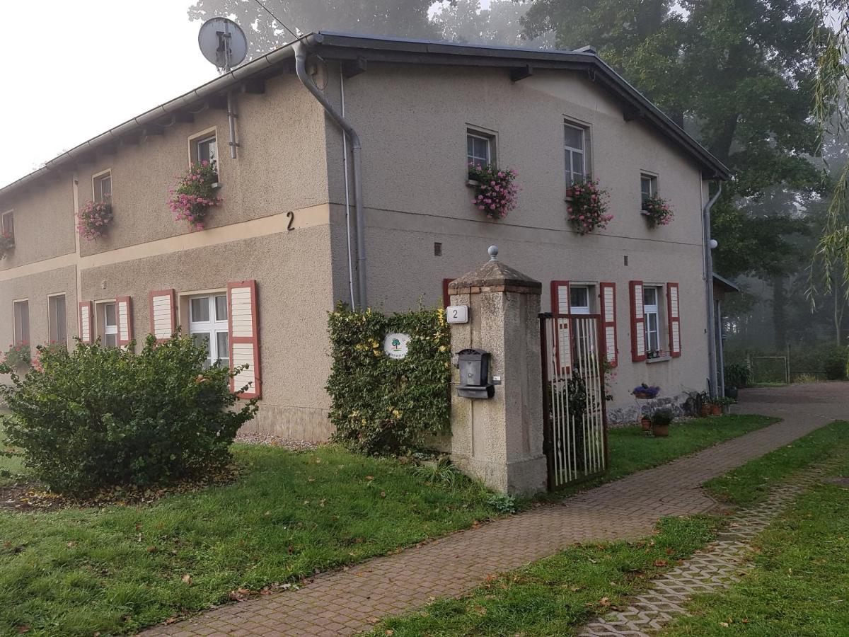 Ferienwohnung Siebmann Neuruppin Eksteriør bilde